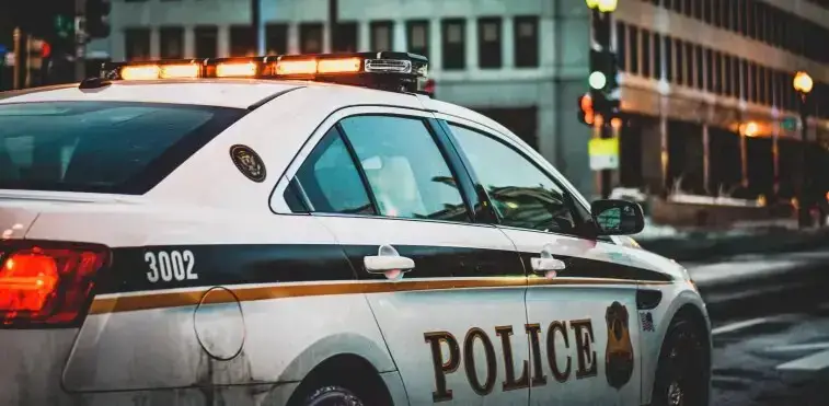 Police Car Auctions: How To Buy Seized Cars The Correct Way